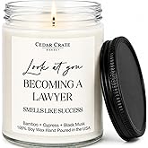 Lawyer Graduation Gifts for Women Men, Passing The Bar Exam Gifts, Law Office Decor, College, Law School Graduation Present, Look at You Becoming A Lawyer Funny Candles, Bamboo Scented Candle