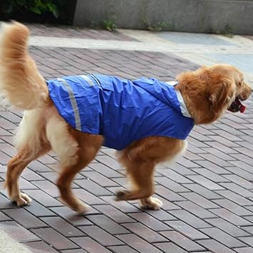 abbigliamento cani kappa