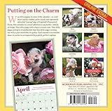 Image de Pocket Pigs Mini Wall Calendar 2017: The Famous Teacup Pigs of Pennywell Farm