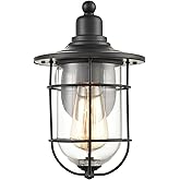 ML Lighting 1-Light Outdoor Wall Sconce Powder Coated Black