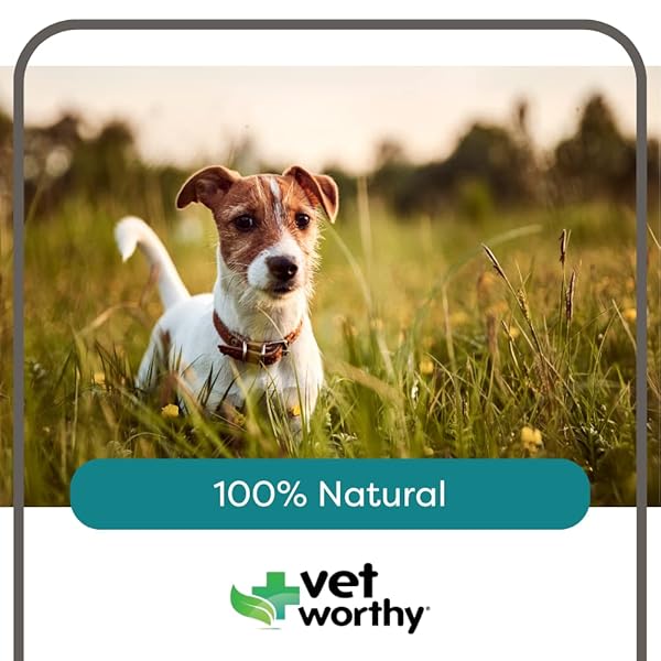 VET WORTHY POTTY ROCKS FOR DOGS – PARAMAGNETIC IGNEOUS ROCKS – HELPS FILTER OUT IMPURITIES AND ELIMINATE URINE LAWN – KEEPS YOUR GRASS GREEN – NATURAL MINERALS – SAFE FOR ALL PETS – 200GRAMS