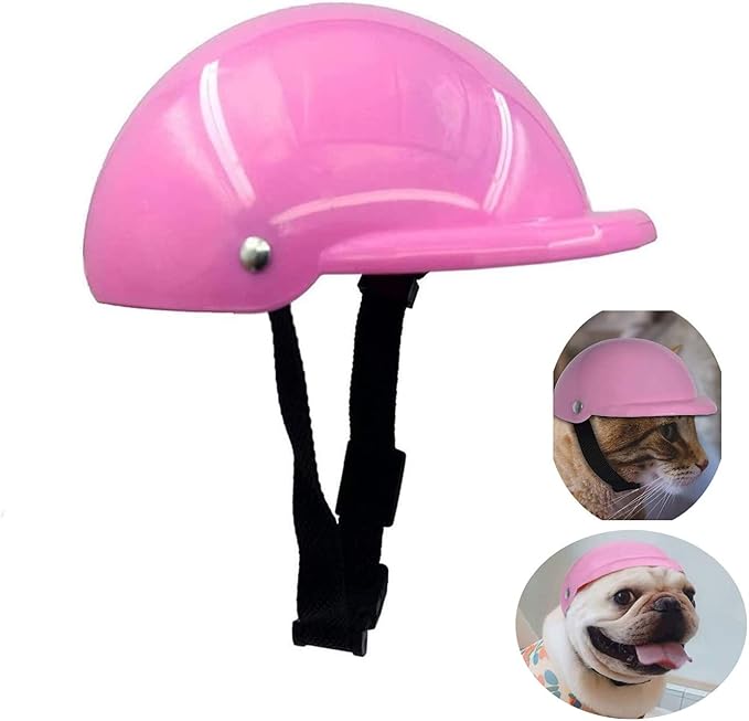dog hard hat
