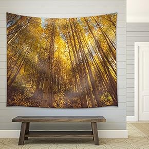 Golden Woods - Fabric Wall Tapestry Home Decor - 51x60 inches