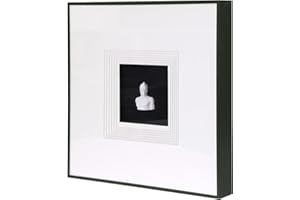 JHUMEG Sculpture Wall Art,French Vintage Decor with Framed,Aesthetic Black Paintings for Home Living Room Bedroom Office and House Gallery artwork（15.8x15.8in）