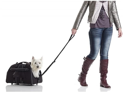 petego dog carrier