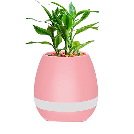 k3 smart music flower pot