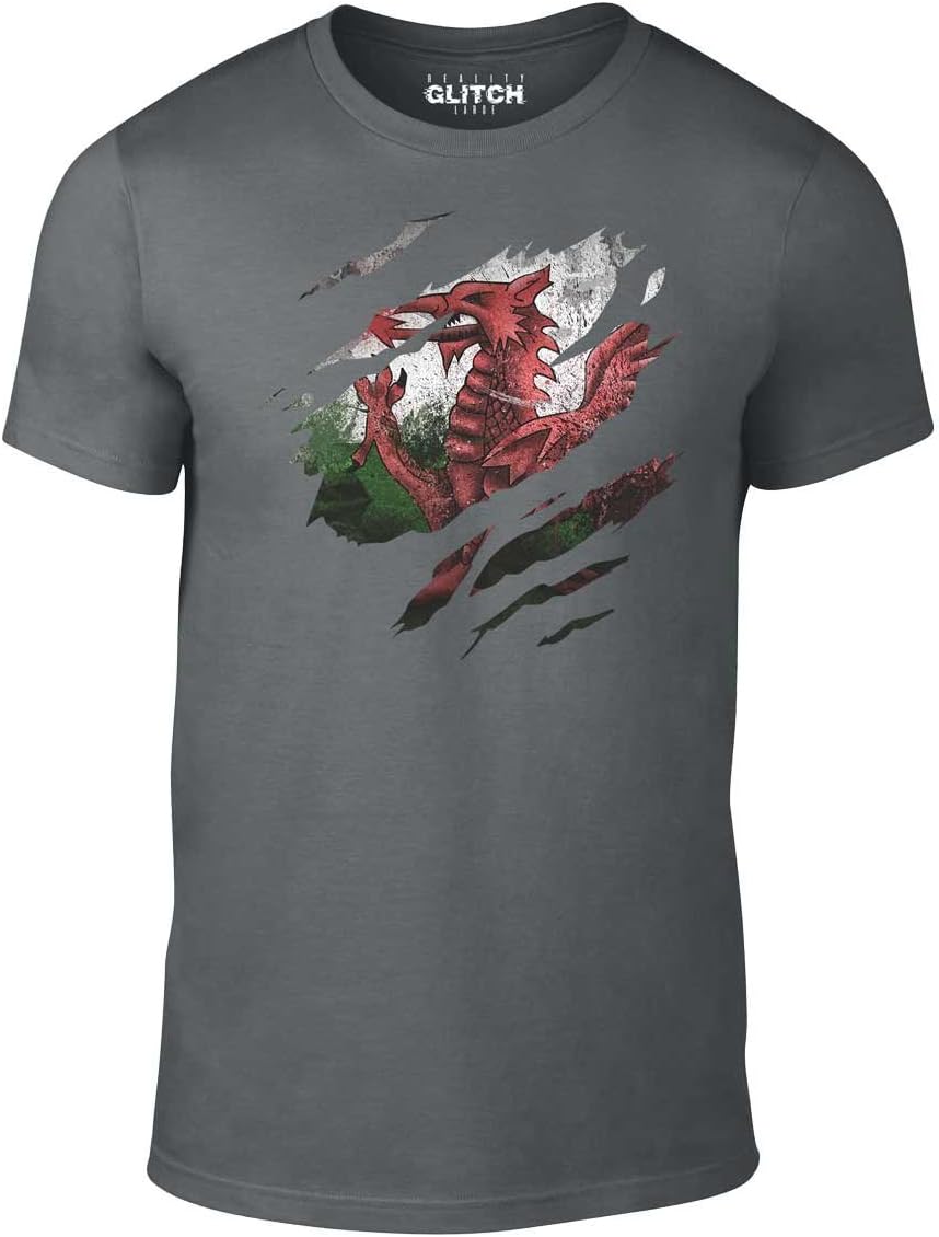 Reality GlitchMen's Torn Wales Flag Tshirt Welsh Rugby Gift