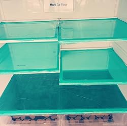 PESACH Counter Cover Rolls. Perfect for Lining Your