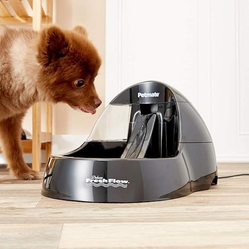 The 16 Best Dog Water Fountains of 2021