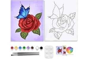 VALLSIP Canvas Painting Kits Pre Drawn Canvas for Painting for Adults Paint and Sip Party Supplies Stretched Canvas to Paint Games Ladies Night Flowers Butterfly Art Set