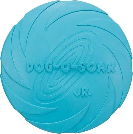 kong frisbee amazon