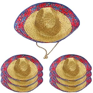 Funny Party Hats Sombrero Hats - 6 Pack -Child and Adult Sizes Costume and Dress Up Hat