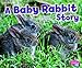 A Baby Rabbit Story (Baby Animals) by 