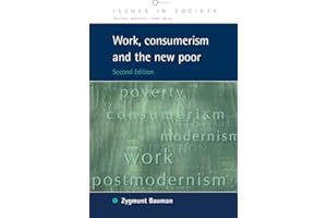 Work, Consumerism and the New Poor