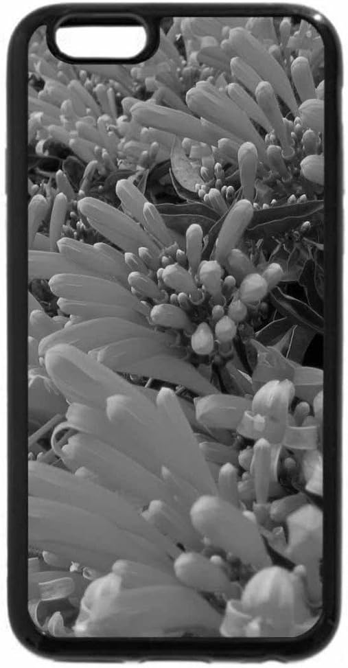 iPhone 6S Case, iPhone 6 Case (Black & White) - Pyrostegia venusta