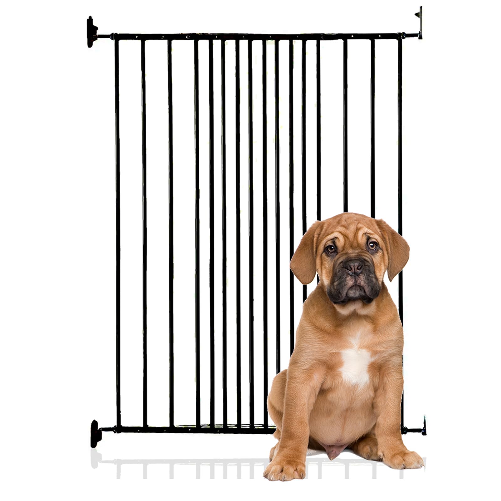 Safetots Extra Tall Screw Fitted Pet Safety Gate, 62.5cm - 106.8cm, Black, 103.5cm in Height, Dog Stair Gate, Safety Barrier for Puppy