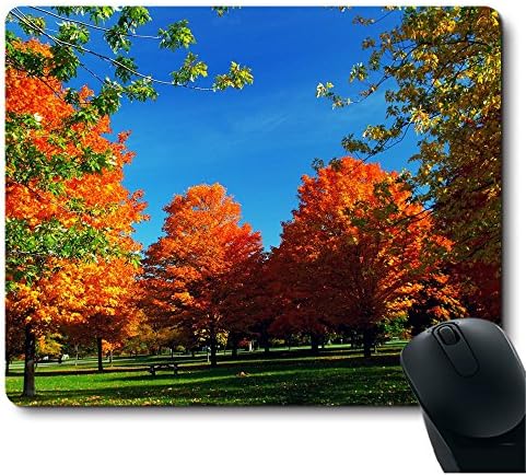 Autumn Natural Orange Fall Trees Mouse Pad