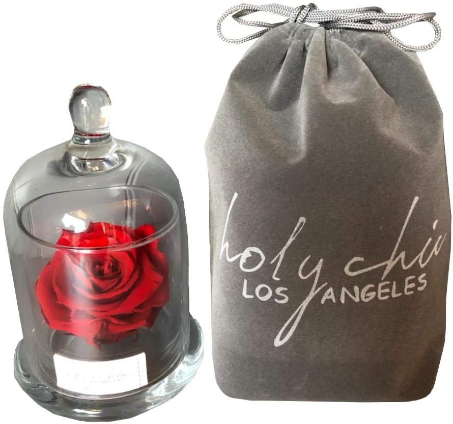 Forever Rose Beauty and The Beast Flower: Preserved 3" Enchanted Decor Red Rose in a Glass Dome - Chic Roses/Flowers - Cool Decorations for Bedrooms or Mom Birthday - Bedroom Accessories for Women