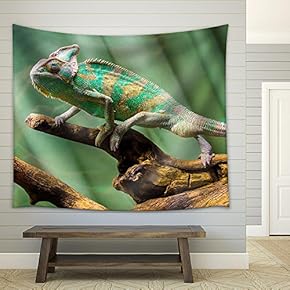 Chameleon - Fabric Wall Tapestry Home Decor - 51x60 inches