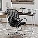 GreenForest Office Chair for Computer Desk Mesh Mid-Back Swivel Task Chair with Special Design Back,Black