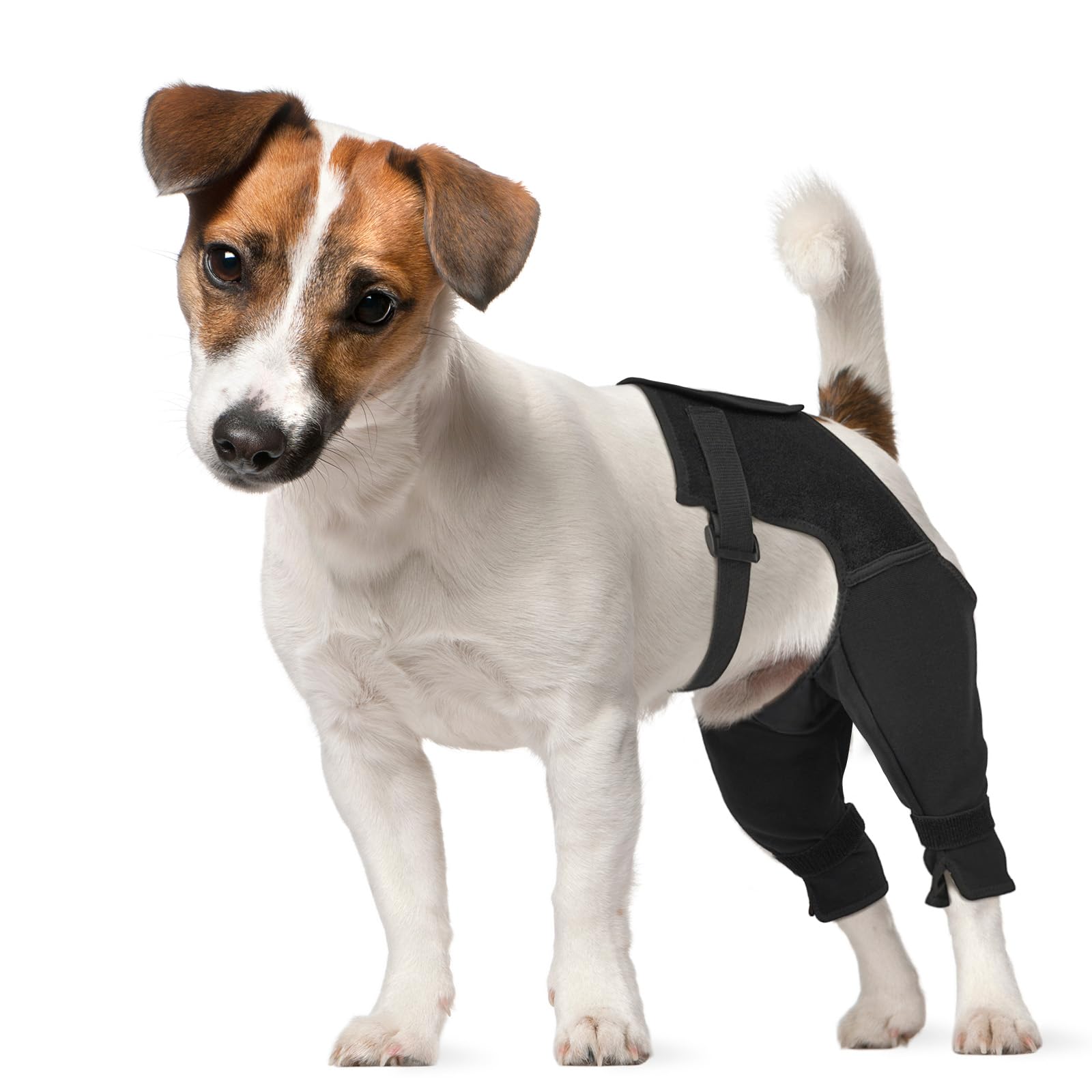 Photo 1 of Marnonsis Dog Recovery Sleeve Rear Leg for Stop Licking, Recovery Dog Pants for Wound ACL TPLO After Surgery,Cone Alternative Protective Sleeve, Comfortable & Breathable
