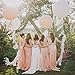 Since Tassel Garland, Tissue Paper Tassels for Wedding, Baby Shower and Party Decorations, 20 pcs DIY Kits - (White,Lavender,Dark Purple,Pink)