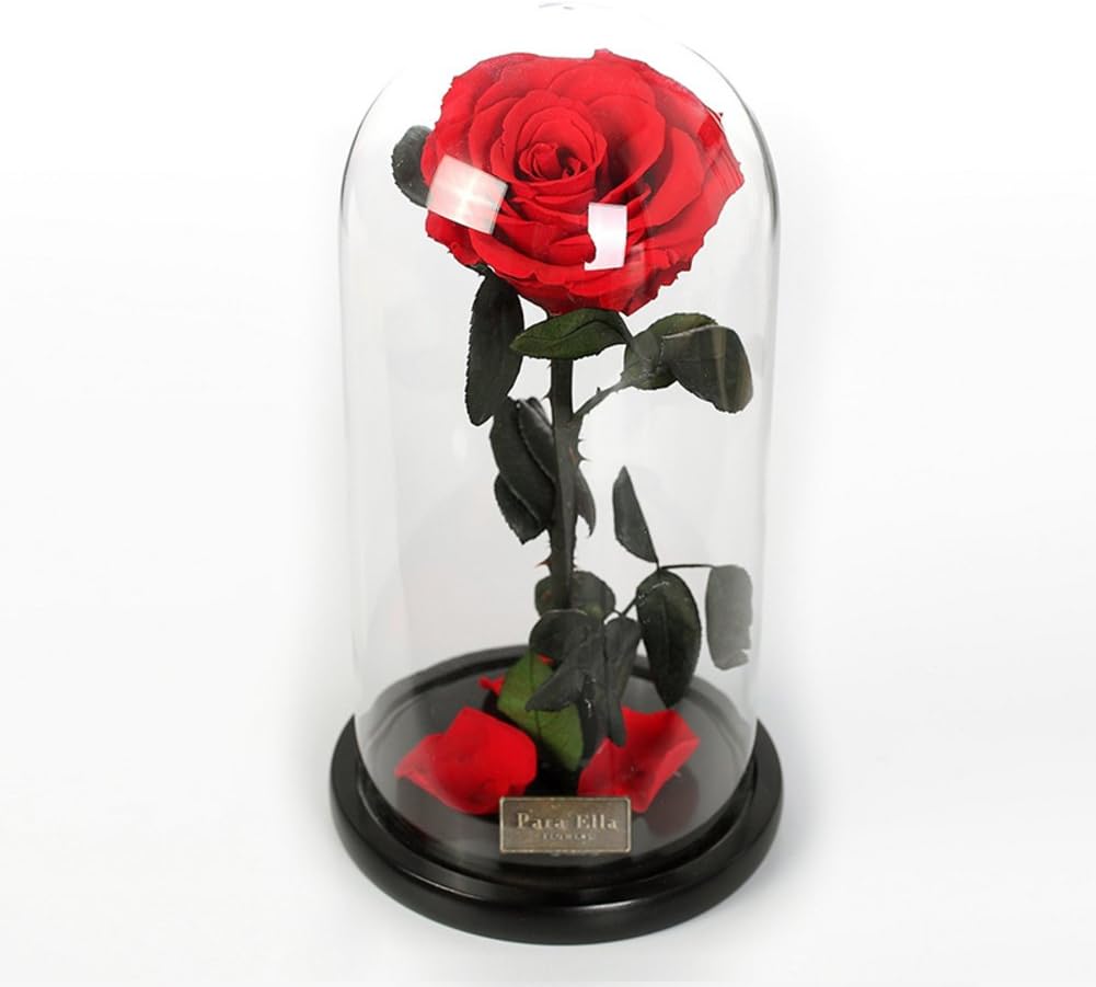 Flor Inmortal Caja De Regalo De Las Rosas/Eterna Flor Caja De Cristal-A: Amazon.es: Hogar