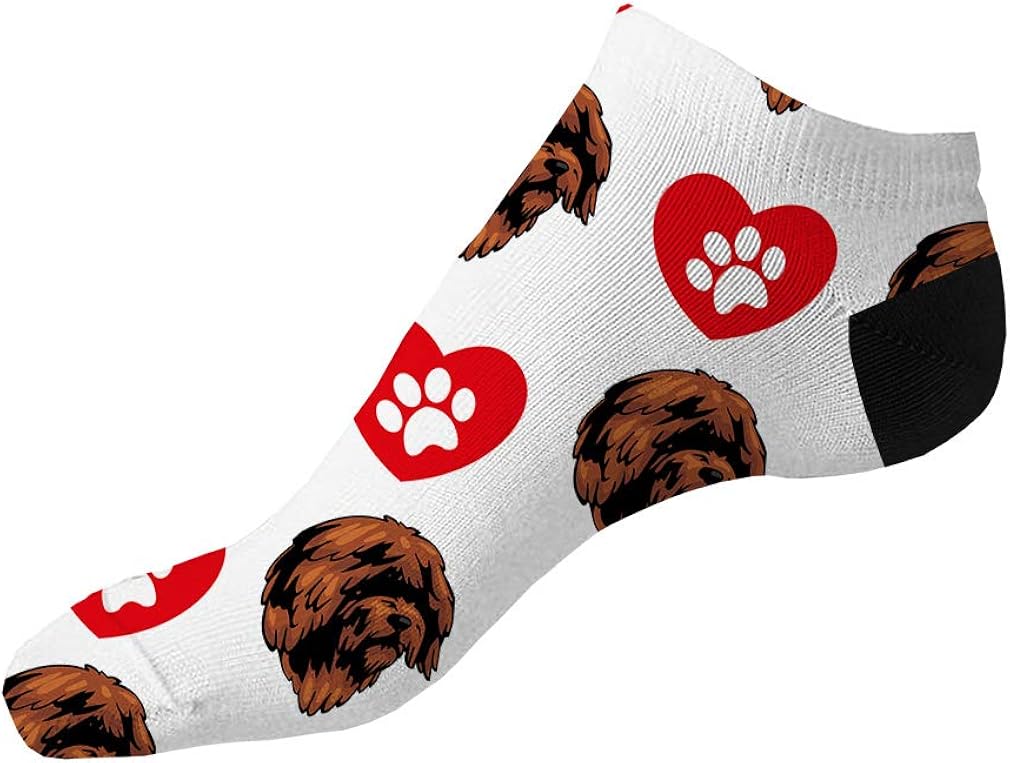 how do you say background information in spanish how do you say background information in spanish