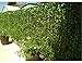 Unilove 168 feet Fake Foliage Garland Leaves Decoration Artificial Greenery Ivy Vine Plants for Home Decor Indoor Outdoors (Artificial Scindapsus Leaves)