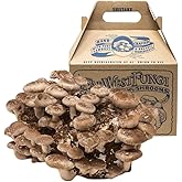 Far West Fungi Shiitake Mushroom Mini-Farm Grow Kit, 5lbs, Non-GMO, Easy to Use, Grow Your Mushrooms at Home, Produced by Rea