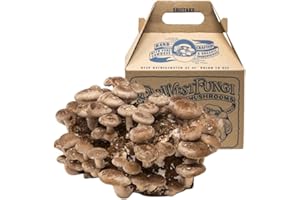 Far West Fungi Shiitake Mushroom Mini-Farm Grow Kit, 5lbs, Non-GMO, Easy to Use, Grow Your Mushrooms at Home, Produced by Real Farmers in California.