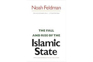 The Fall and Rise of the Islamic State