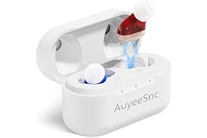 ITE Hearing Aids，Rechargeable Hearing Aids Amplifier for Seniors & Adults，16 Channel Digital Chip Volume Control，Noise Cancel