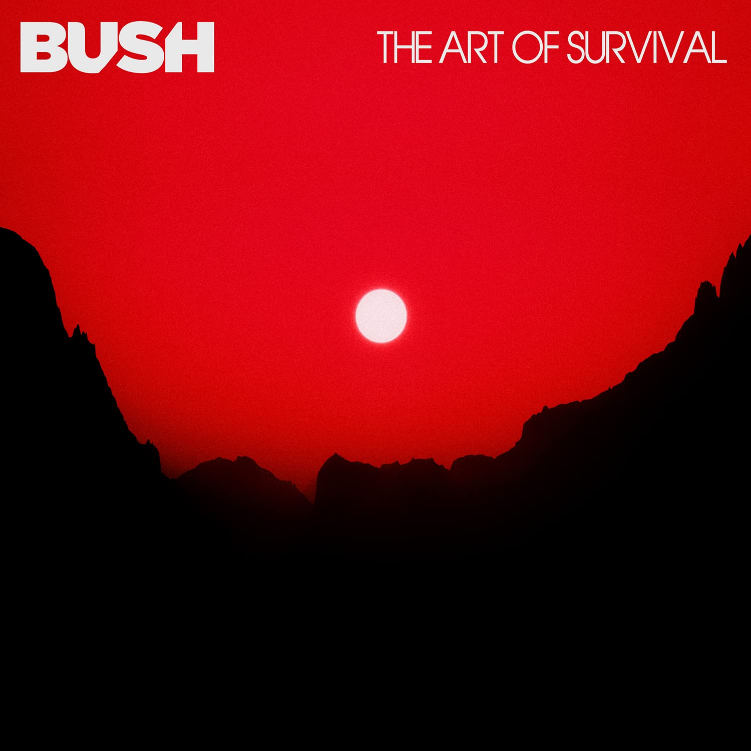 Photo 1 of The Art Of Survival[LP]