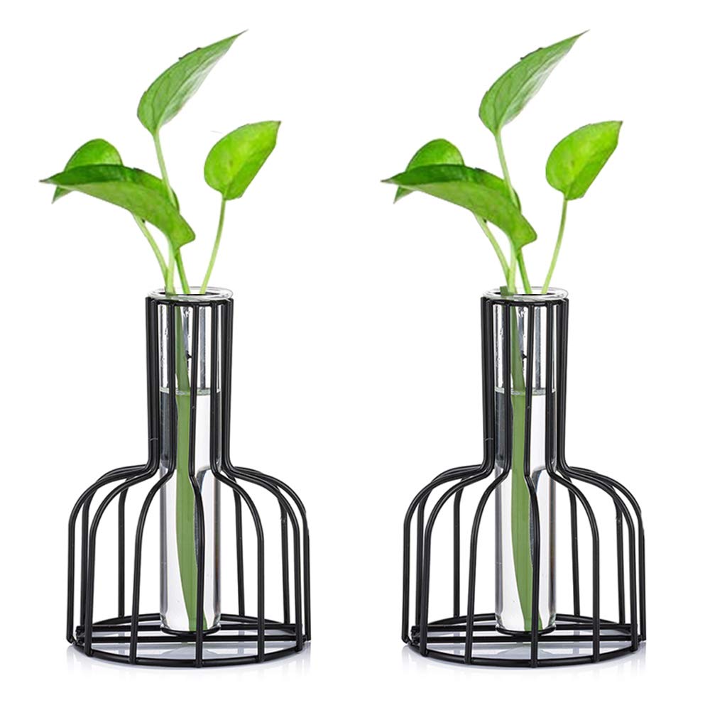 Glass Propagation Station with Metal Frame, Set of 2 Black Flower Vase, Test Tube Vases for Hydroponic Plant, Small Bud Vase for Home Kitchen Office Table Top Decor, Black