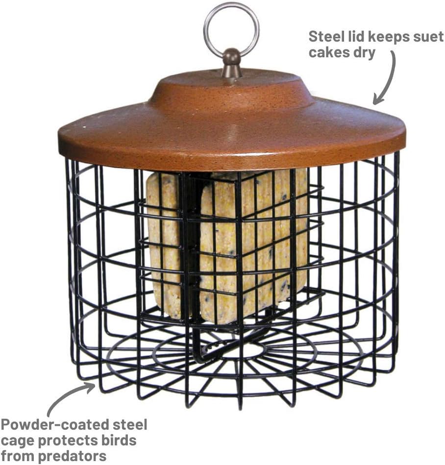 Squirrel-X Squirrel Proof Double Suet Feeder, Cage Bird Feeder, 2 Suet Cake Capacity : Suet Bird Feeders : Garden & Outdoor