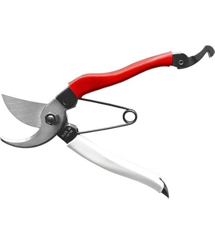 Amazon.com : Okatsune No. 201B Plant Shears : Ship From Japan