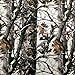 Hydrographic Film Lm Woods in Winter Hydrographic Water Transfer Film Hydro Dipping Dip