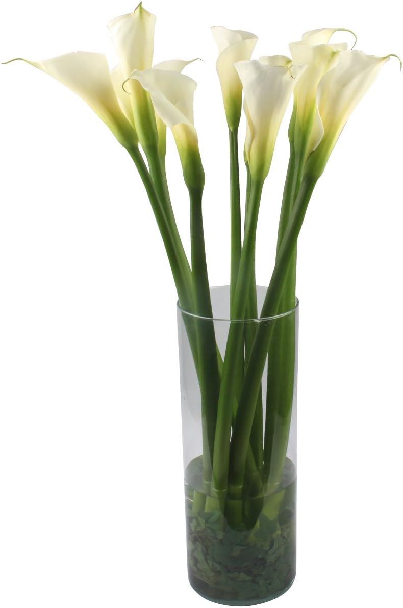 Amazon Com Vistaflor Wholesale Calla Lilies 50 Stems Fresh Cut Format Lily Flowers Everything Else