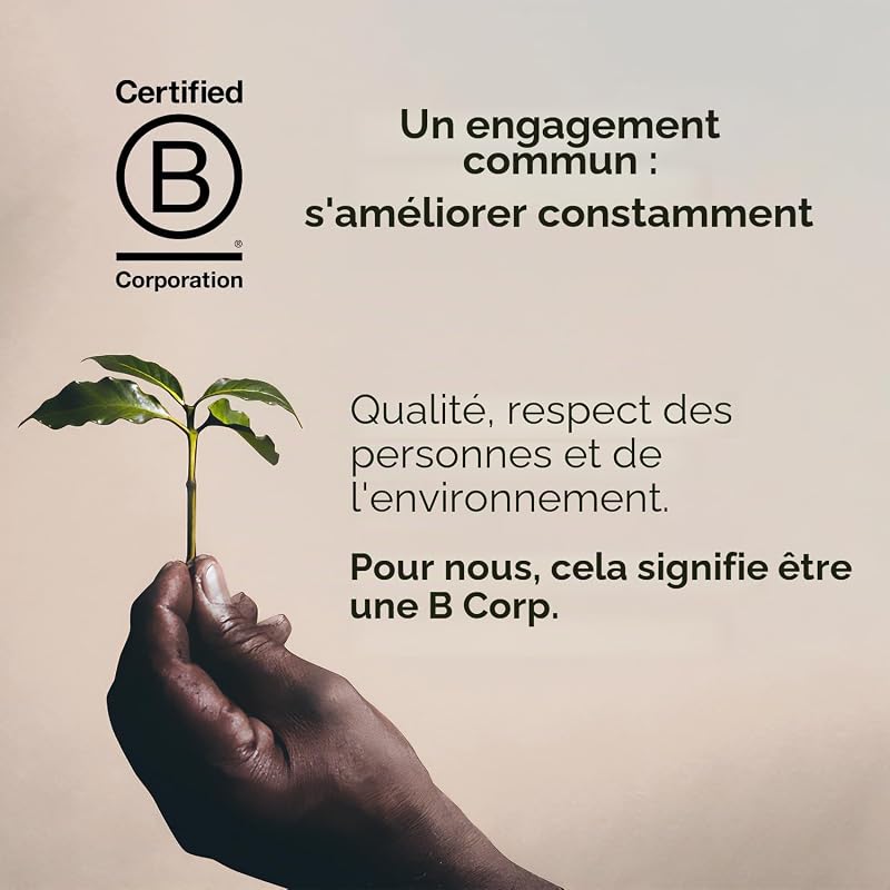 , Cafè Moulu pour Espresso Torréfié Arabica Selection Brésil Cerrado Mineiro, 100% Arabica avec des Notes de Caramel et de Fruits Secs, Goût Prononcé, Paquet de 6 Boîtes (6 x 250g)