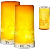 LED Flame Light, Flame lamp Candles Fire Lanterns Outdoor Hanging Lamps,USB Rechargeable Waterproof Dimmable 4 Modes Lantern,