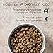 Diamond Naturals Large Breed Puppy Real Lamb Recipe Premium Dry Dog Food, 6 lb