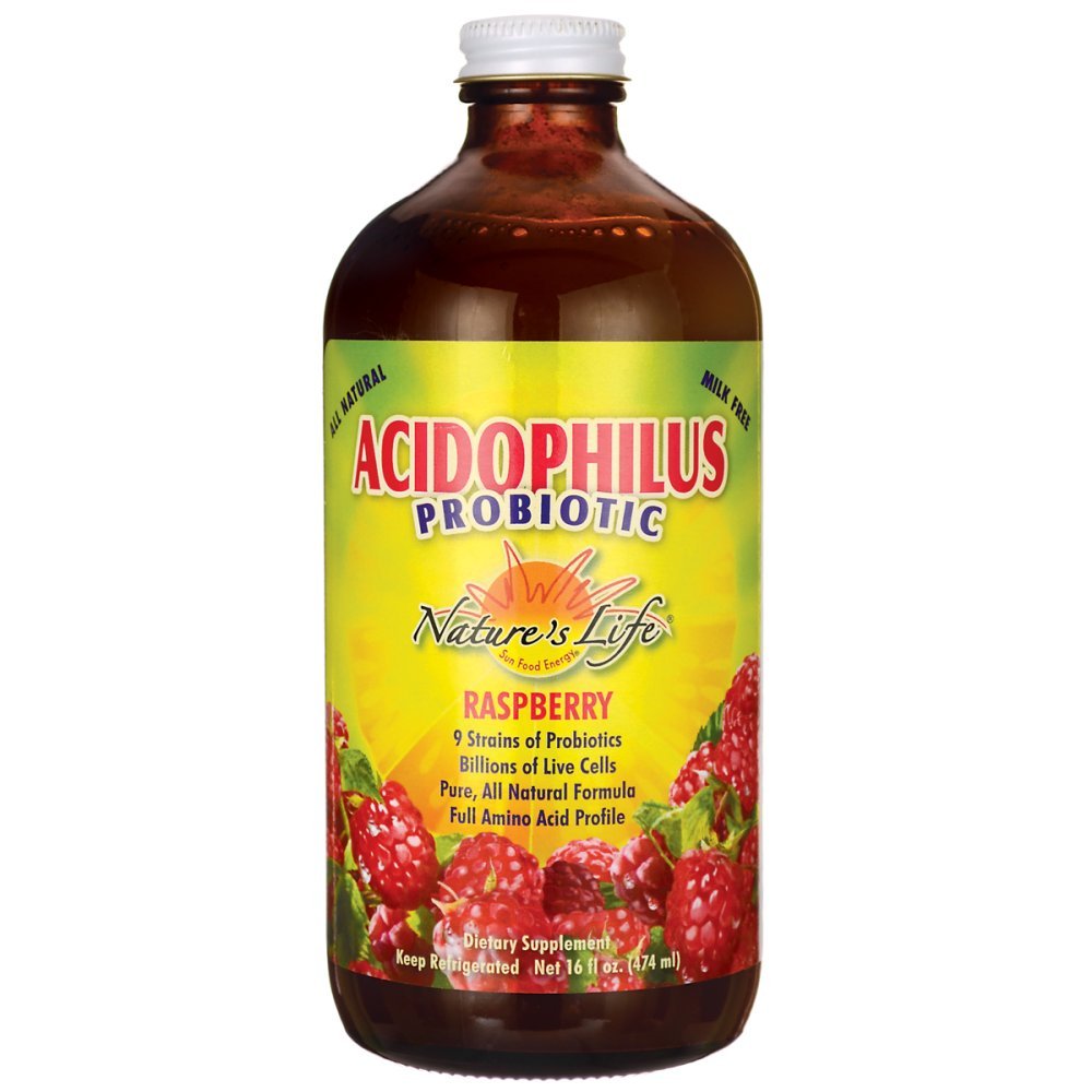 Nature's Life Acidophilus, Pro96, Blueberry, 16 Ounce