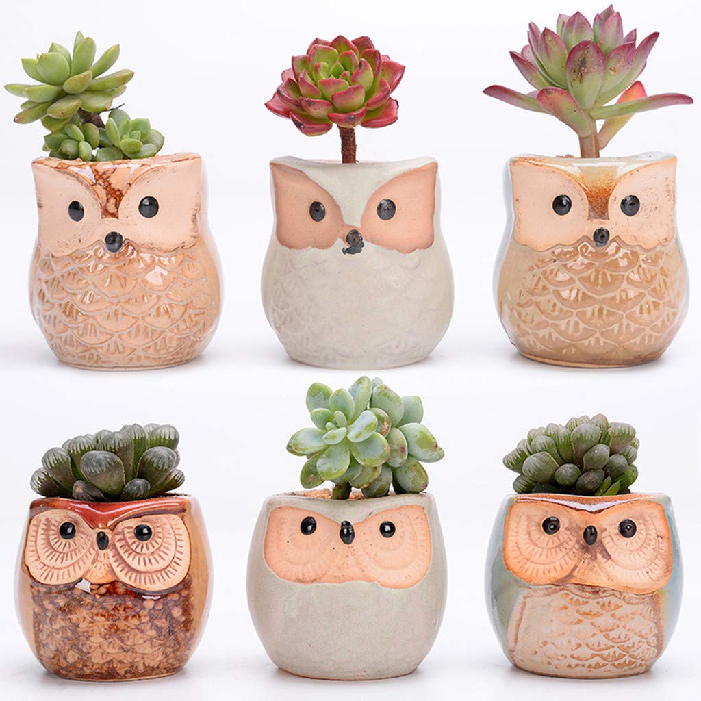 Which Is The Best Patio Mini Garden Bicycle Planter Home Decor Iron Stand