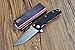 Enlan Bee EL-01A Classic Folding Knife with Drop Point Stainless Steel Blade and G10 Handle Flip Open Outdoor Tactical Pocket Knife with Clip (BlackStain)