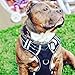 Big Dog Harness No Pull Adjustable Pet Reflective Oxford Soft Vest for Large Dogs Easy Control Harness primary