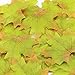 SunAngel Artificial Maple Leaves, Autumn Fall Leaves Bulk Assorted Mixed Garland Wedding House Decorations (150pcs, Green)