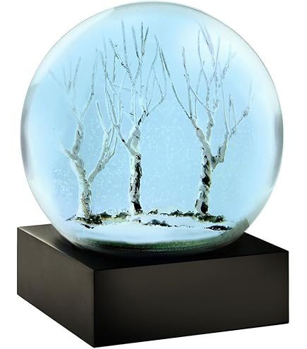Amazon.com: CoolSnowGlobes Eclipse Night Sky Snow Globe