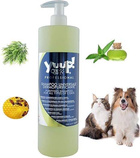 piccolis natural pet food