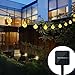 Solar Outdoor String Lights, Satu Brown Globe Fairy Lights 21ft 31 LED Waterproof Crystal Ball Starry Globe Lights for Home, Garden, Patio, Yard, Parties, Christmas Decoration